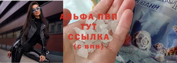эйфоретик Магадан