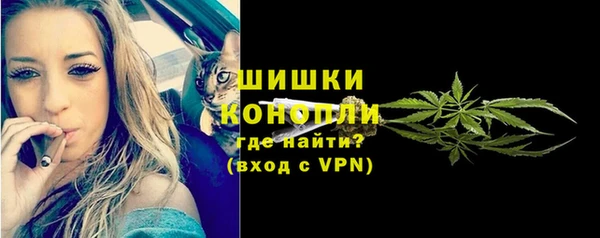 дживик Майский