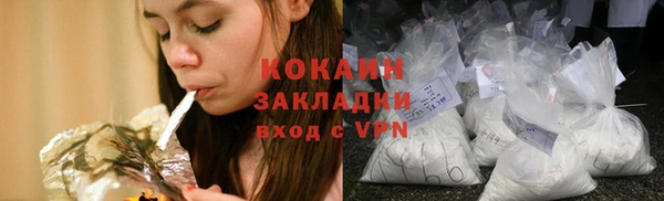 дживик Майский