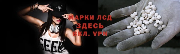 дживик Майский