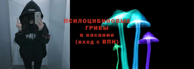 дживик Майский