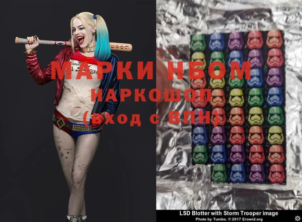 дживик Майский