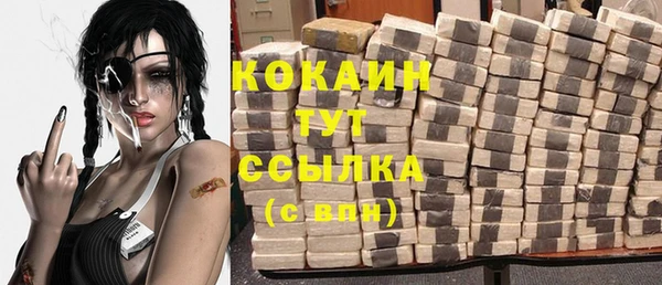дживик Майский