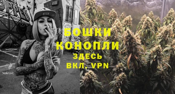 дживик Майский