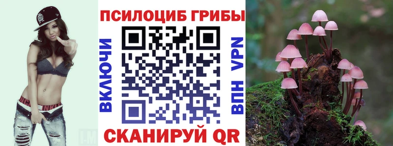 купить наркотик  Южно-Сахалинск  Галлюциногенные грибы MAGIC MUSHROOMS 